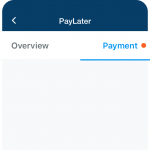 bayar paylater 2
