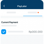 bayar paylater 3