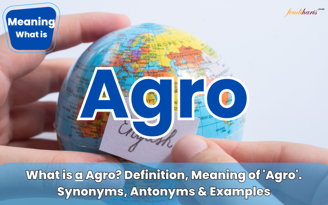 What is a Agro? Definition, Meaning of ‘Agro’