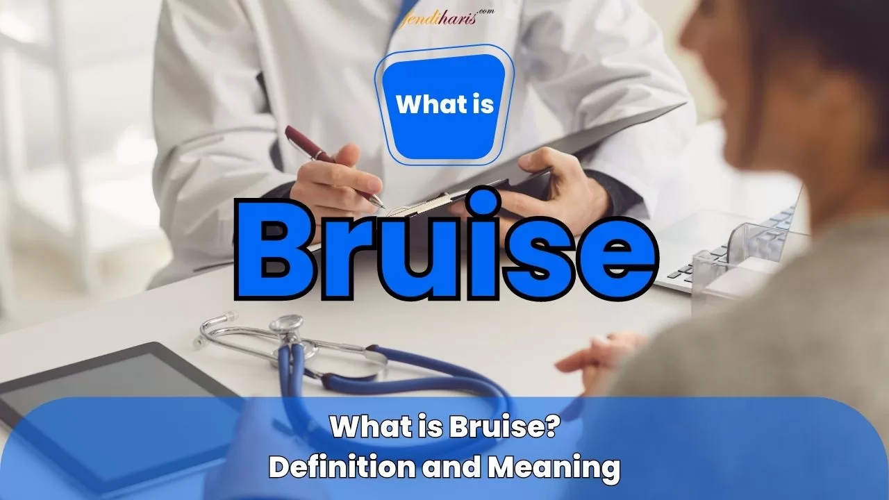 What is Bruise?