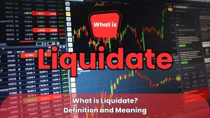 What is liquidate? liquidate meaning and definition