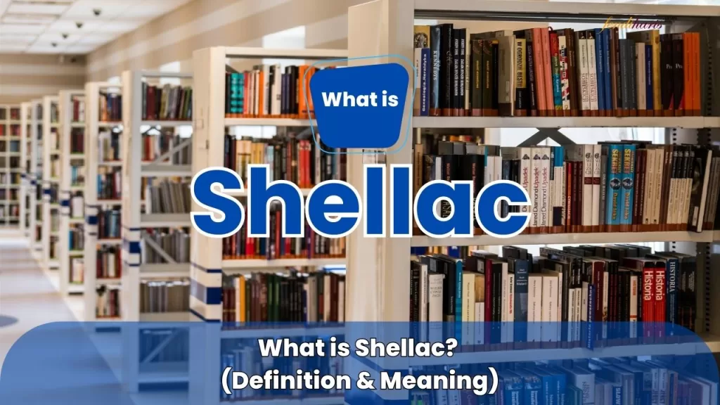 Shellac Definition Meaning - What is Shellac?