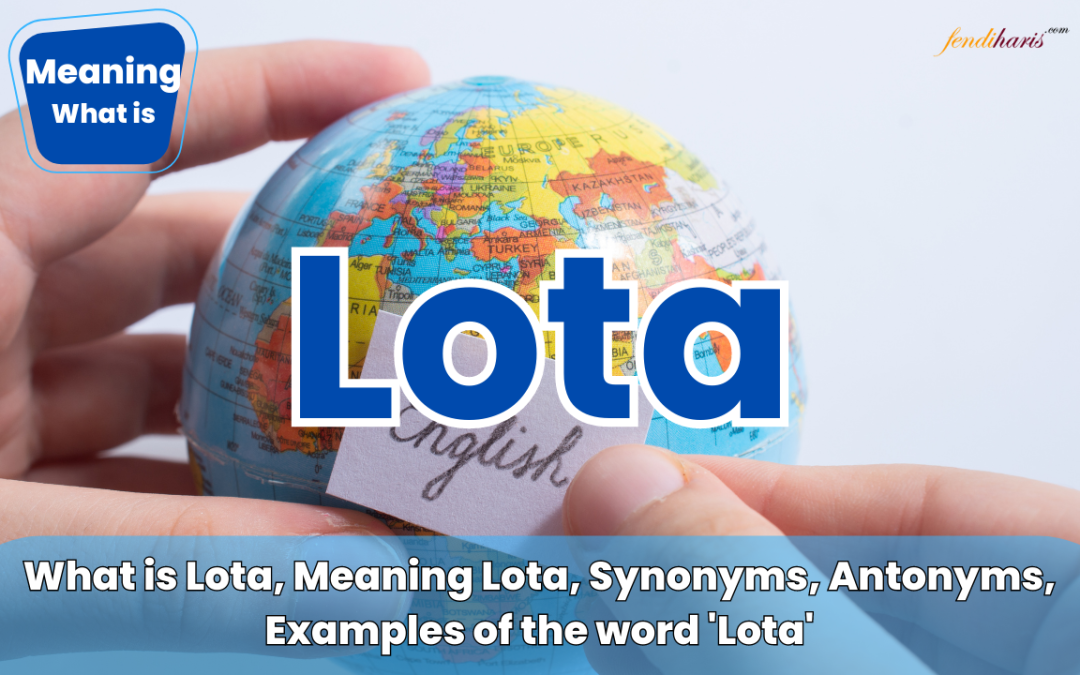 What is a Lota? Meaning ‘Lota’ (Synonyms, Antonyms, Examples)