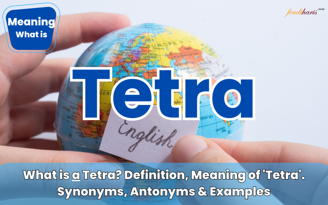What is a Tetra? Definition, Meaning of ‘Tetra’