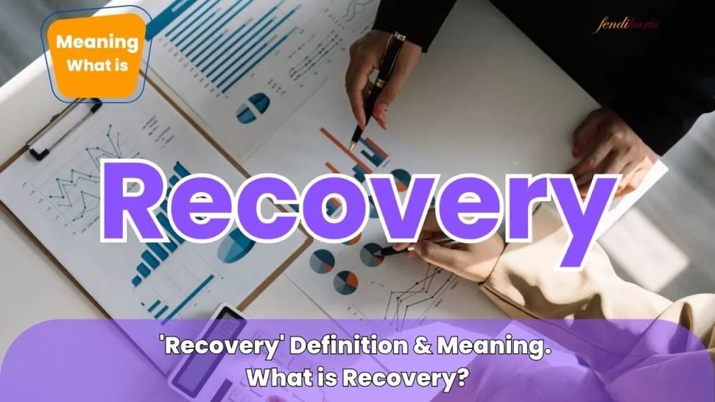 what is recovery - definion - recovery meaning