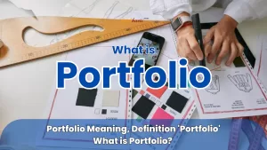 what is portfolio