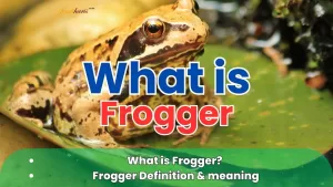 frogger, frogger meaning, what is frogger