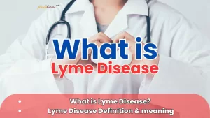 Lyme Disease Meaning - What is Lyme Disease