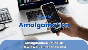 amalgamation definition