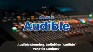 what is audible