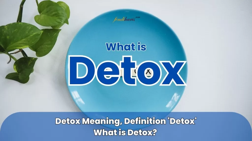 Detox Meaning – Detox Definition – What is Detox – Detox Examples – Detox Synonyms – Detox Antonyms