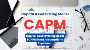 What is CAPM