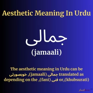 Aesthetic Meaning in Urdu