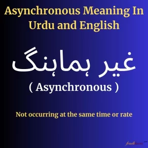 Asynchronous meaning