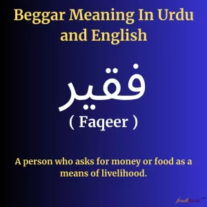 beggar, beggar meaning, beggar meaning in urdu, beggar meaning in english