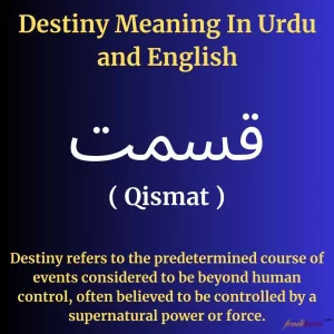 Destiny meaning in urdu