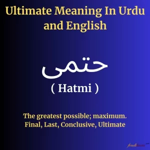 Ultimate meaning