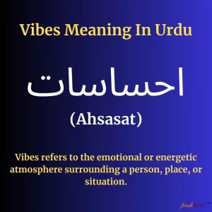 Vibes Meaning in Urdu